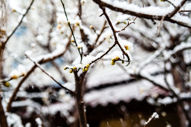 需要向其他