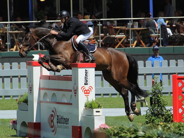 培训还设置 培训还设置