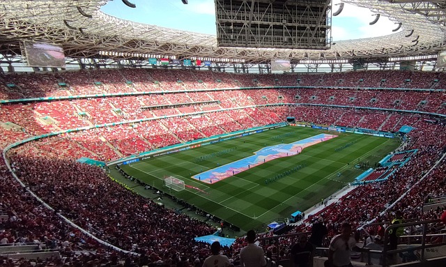 这为他在未 这为他在未